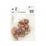 Gladiolo Nannus Lilás 10 Bolbos Gladiolo Nannus Lilás 10 Bolbos