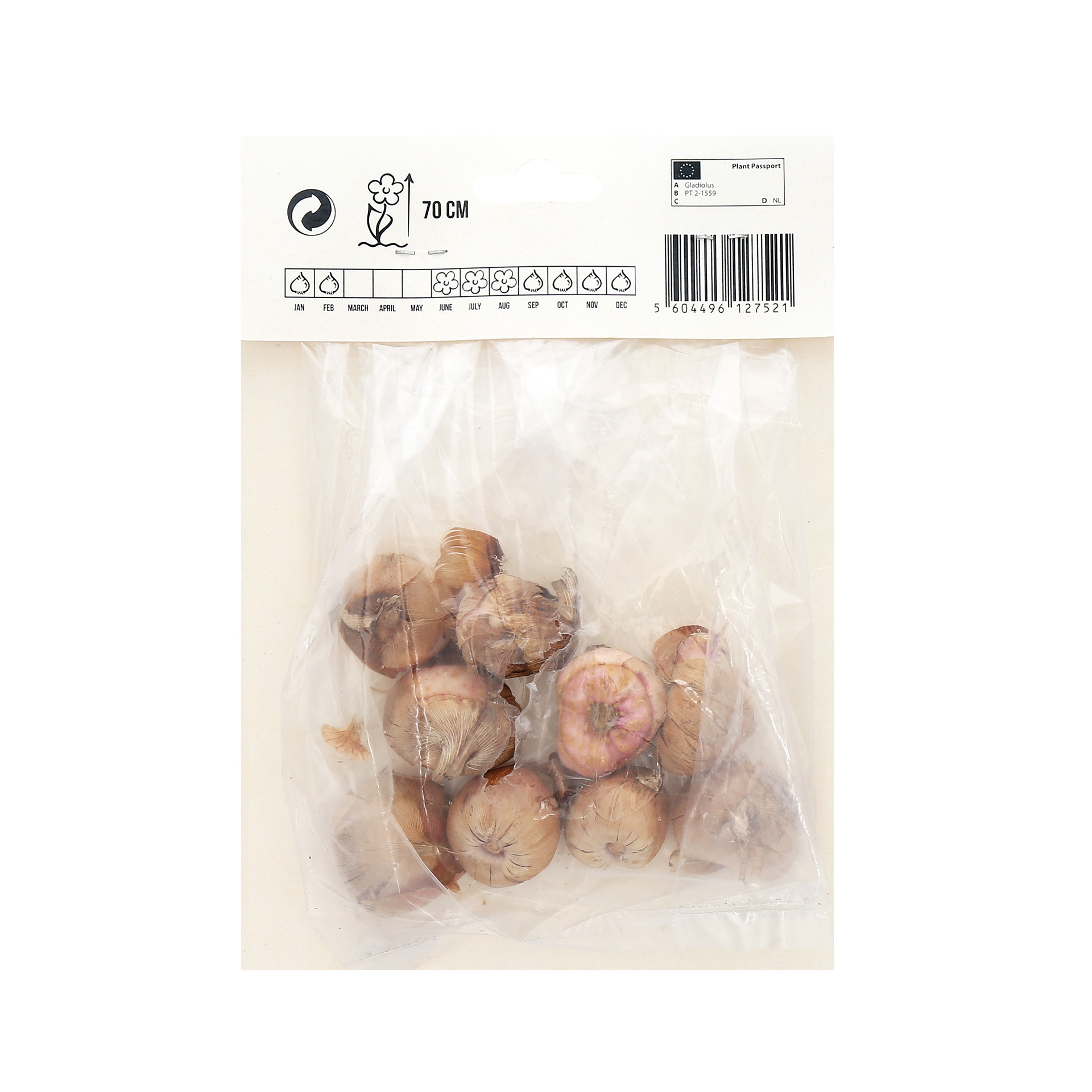 Gladiolo Nannus Mix 10 Bolbos