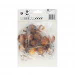 Iris Azul Escuro 10 Bolbos Iris Azul Escuro 10 Bolbos