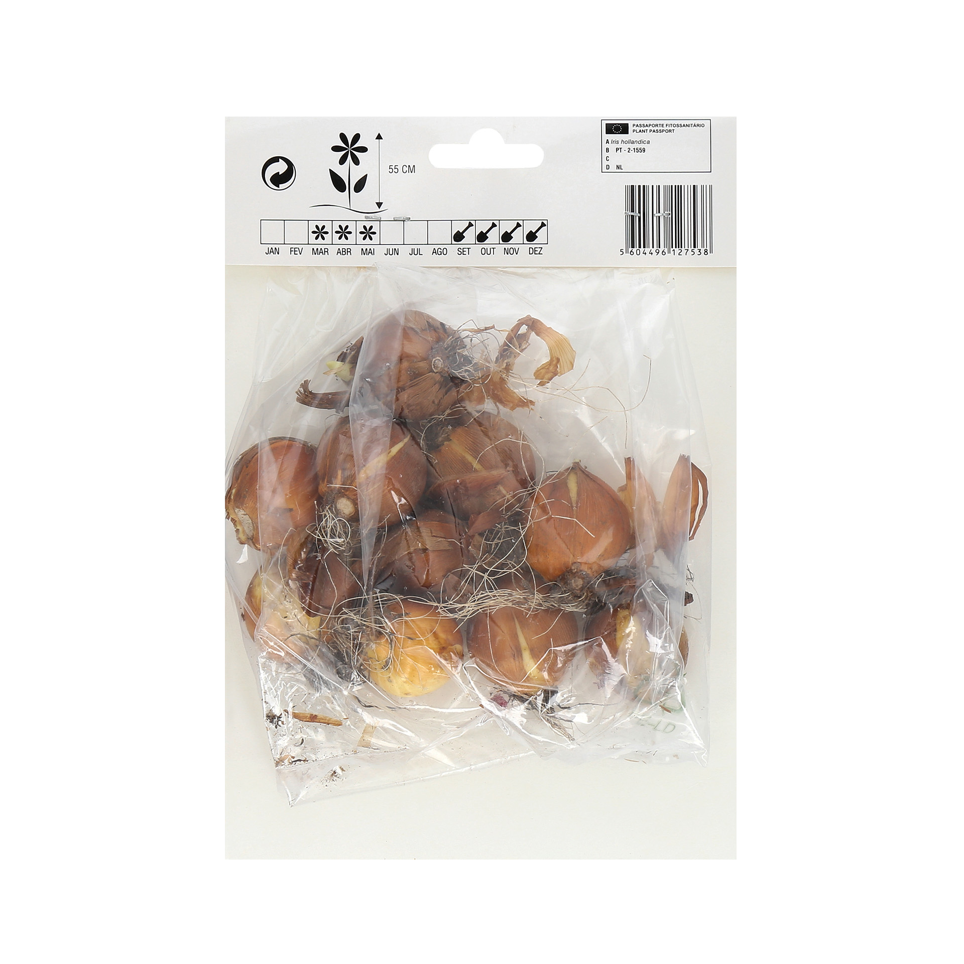 Iris Azul Escuro 10 Bolbos