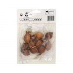 Iris Branco 10 Bolbos Iris Branco 10 Bolbos