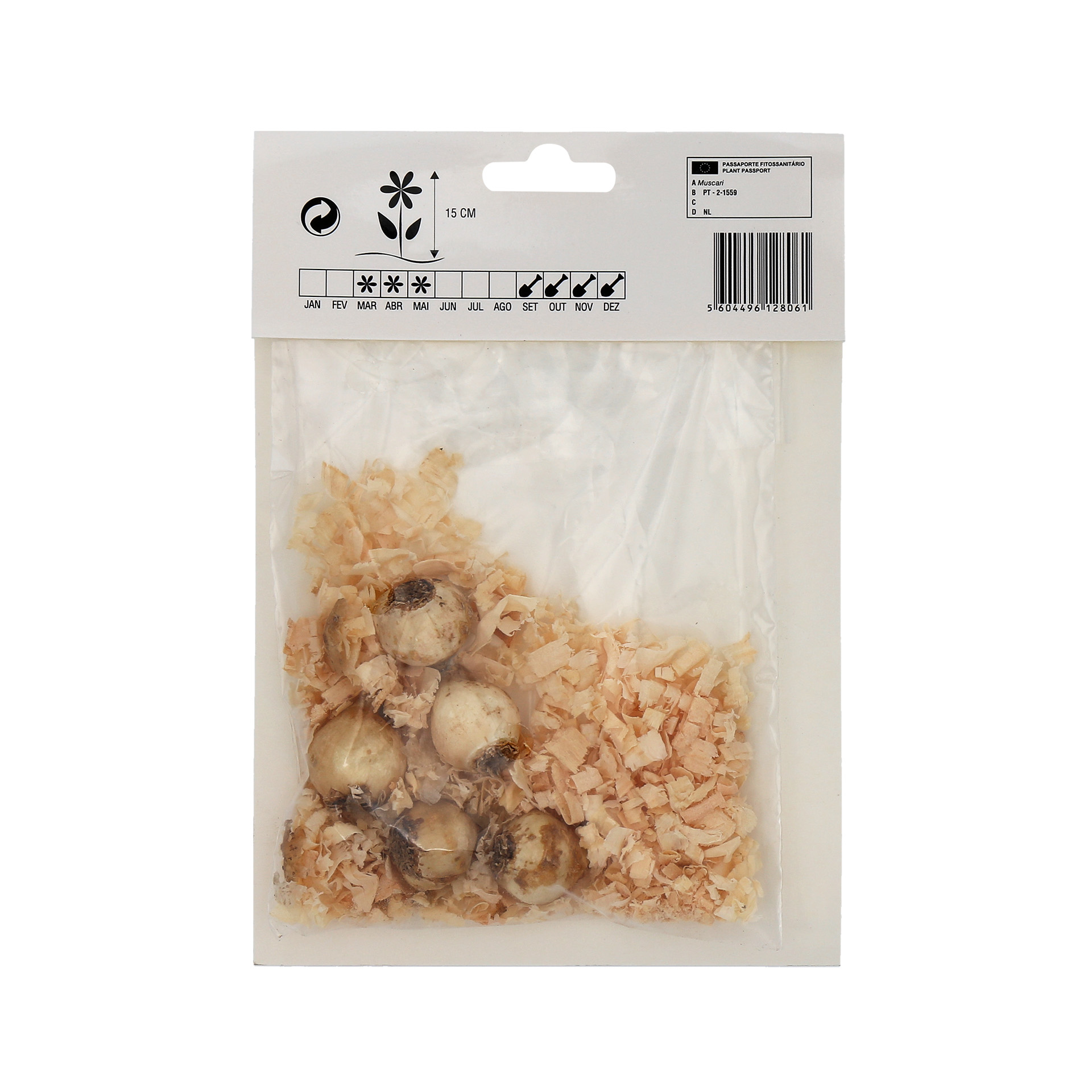 Muscari Mix 5 Bolbos