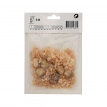 Muscari Azul Claro 5 Bolbos Muscari Azul Claro 5 Bolbos