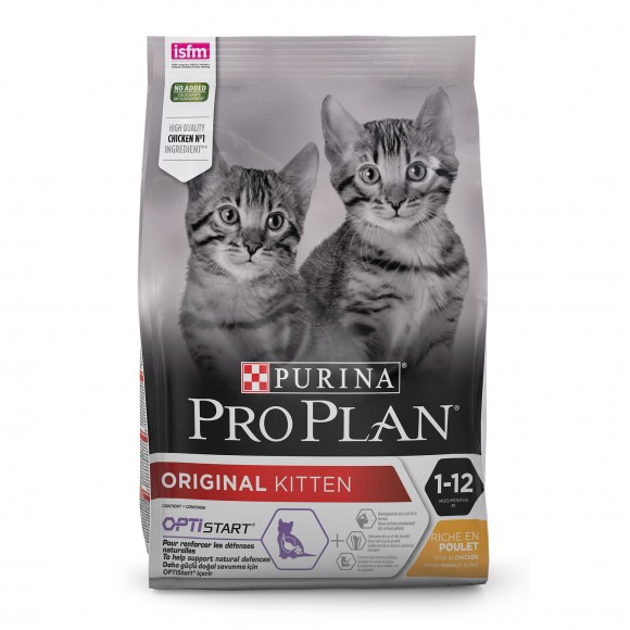 Alim. Seco  Gato Aftercare Salmo