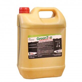 GREEN-TOP FERTILIZANTE 5LT