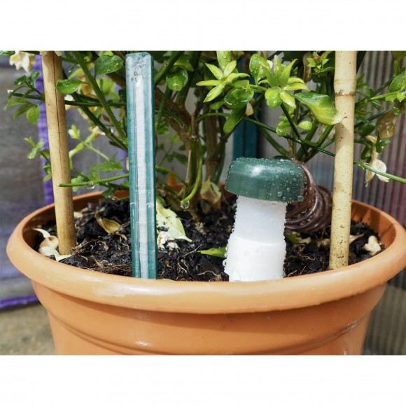 KIT CONE REGA EM VASO 3+2UN