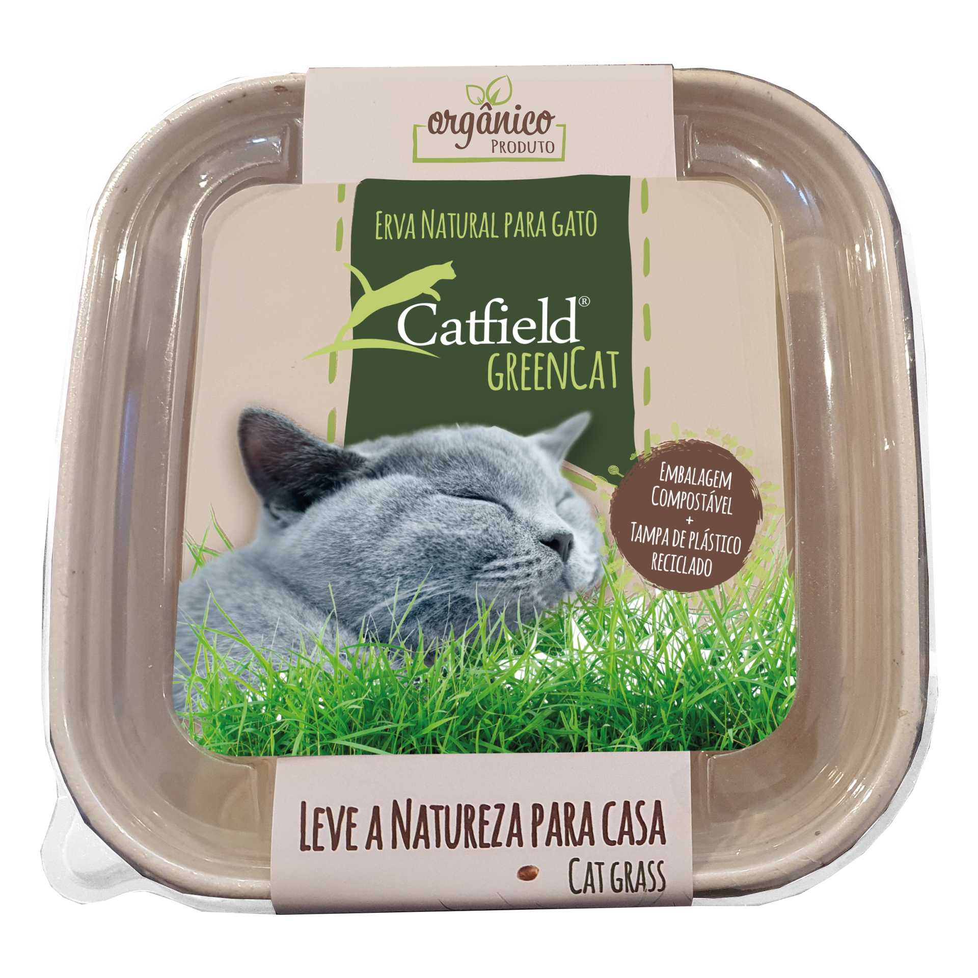 Erva Para Gato 80 G CATFIELD