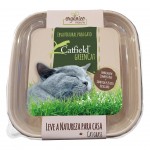 Erva Para Gato 80 G CATFIELD