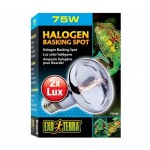 Lampada Halogeneo Spot 75W