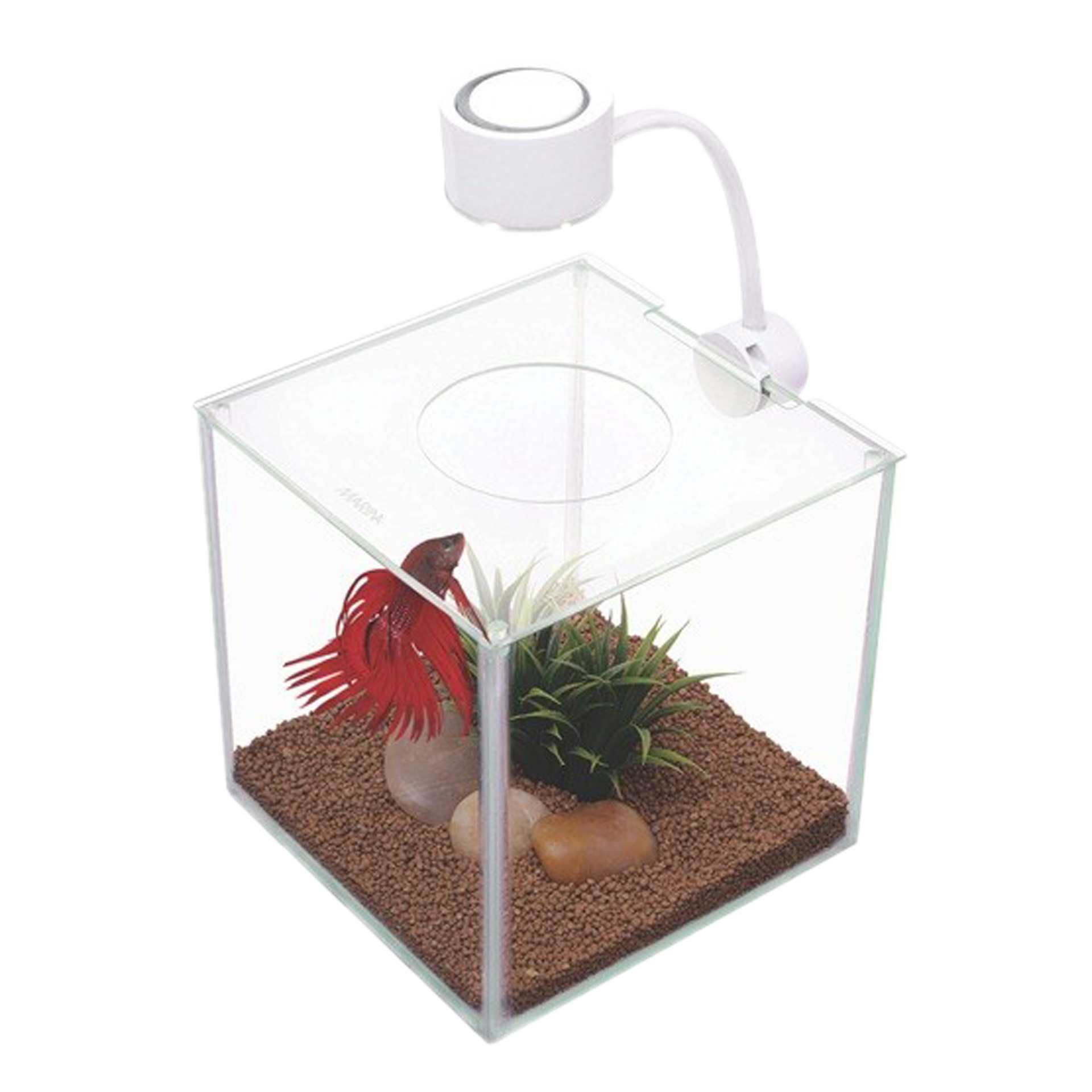 KIT AQUÁRIO- BETTA CUBUS C/LEDS