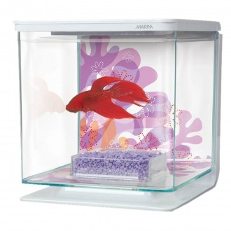 KIT PARA AQURIO- BETTA FLOWER