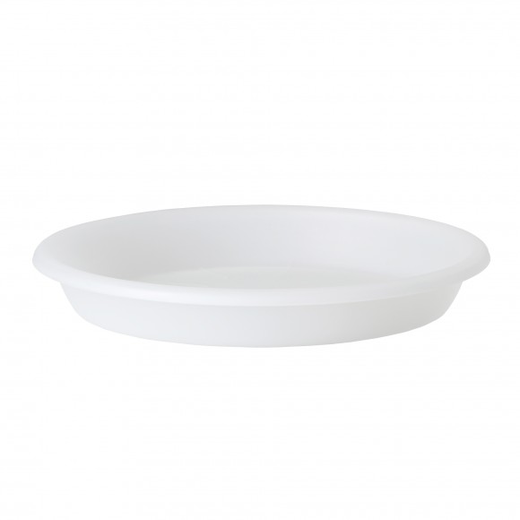 Prato Orqu�dea Transparente 13 CM ARTEVASI