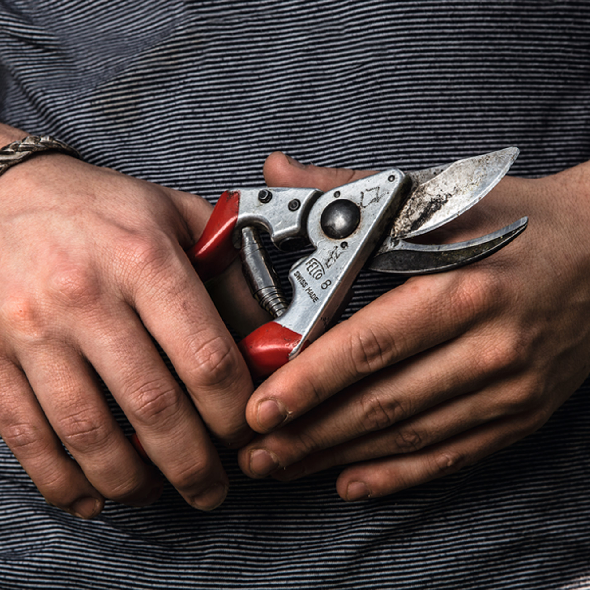 Tesoura De Poda 2,5-21 CM ERGO FELCO 8