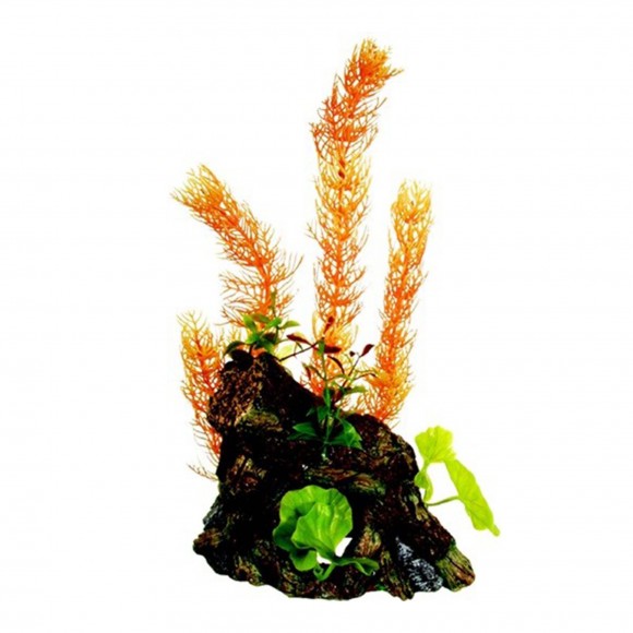 DECORAO AQURIO/TERRRIO GRANDE