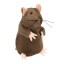 Brinq Gato  Rato c/ Microchip