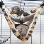 Cama Suspensa de Plo P/Furo SAVIC