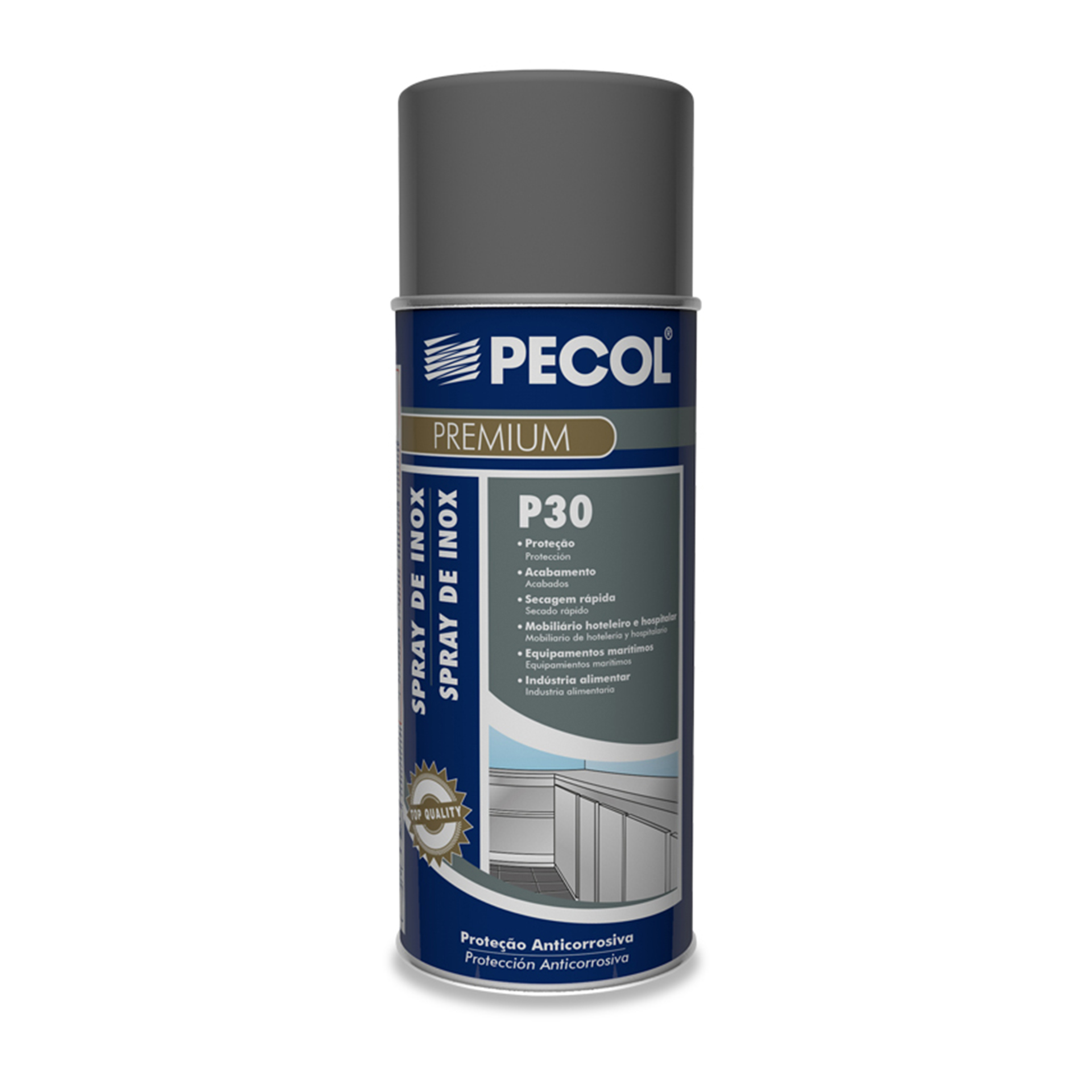 Pintura Spray Inox PECOL 400ML