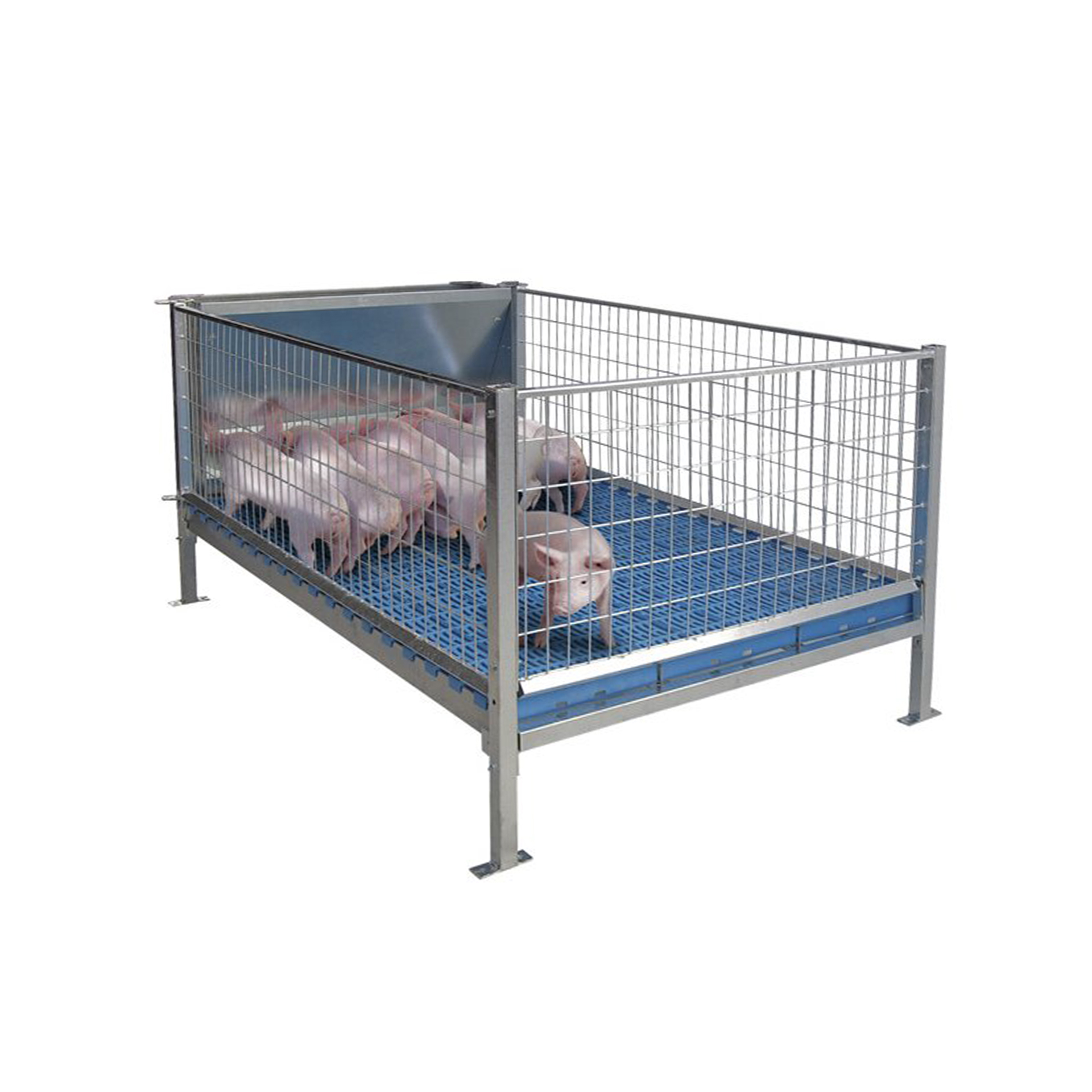 Jaula Para Desmame de Leitões GOMEZ Y CRESPO