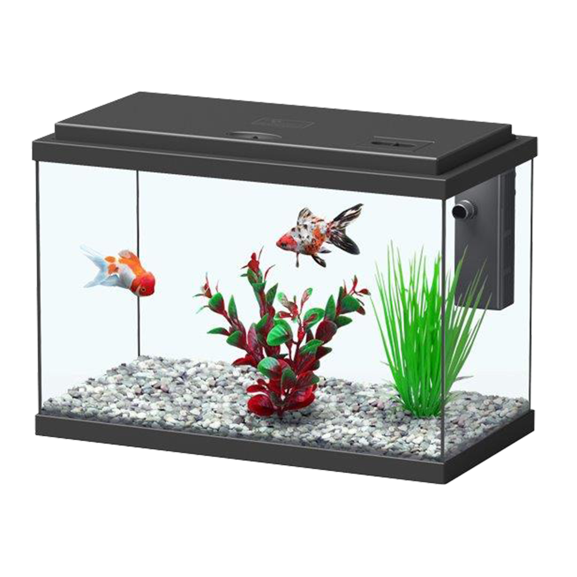 AQUÁRIO FUNNY FISH 15 L