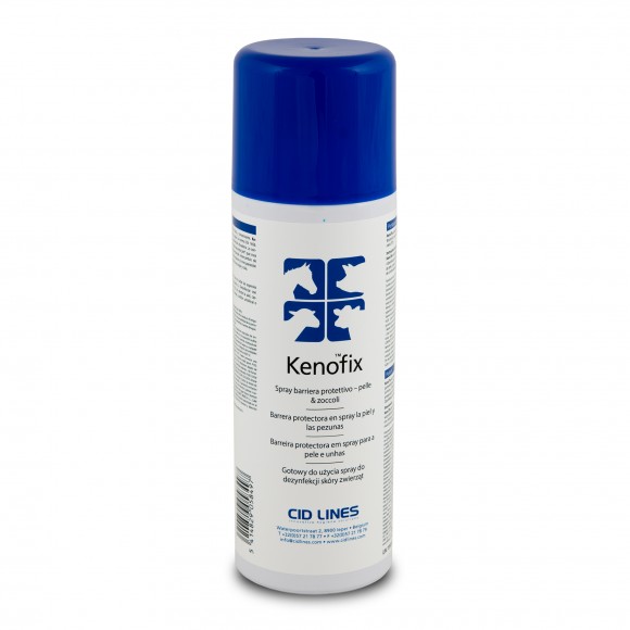 KENOFIX SPRAY 300 ML