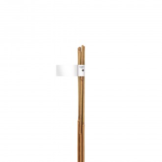 TUTOR BAMBU NATURAL
