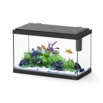 Aquario Explorer Vienna Preto 34LT
