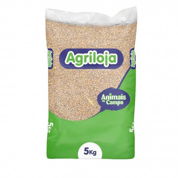 TRIGO 5 KG