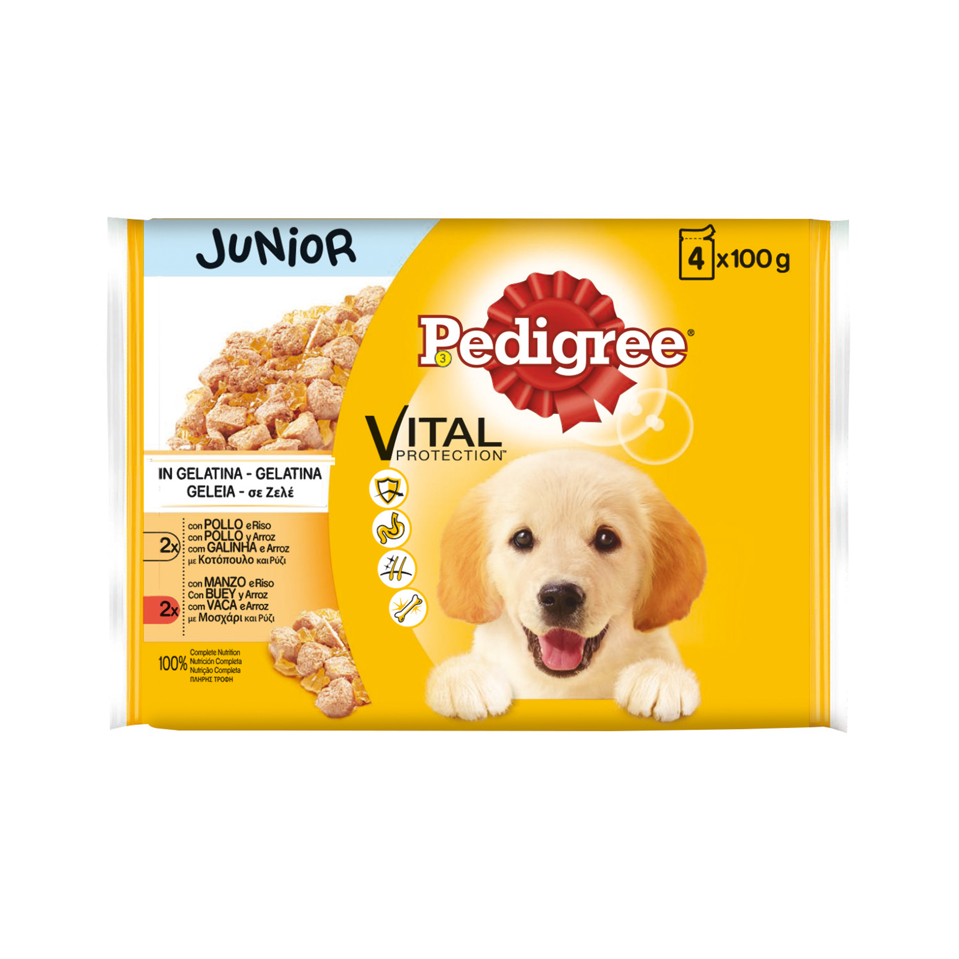 Alimento Húmido Cão Júnior 4X100 G PEDIGEE