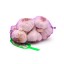 ALHO ROXO SEMENTEIRA 0,5 KG