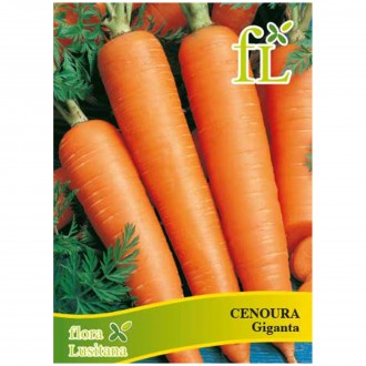 Cenoura Gigante 5 G FLORA LUSITANA