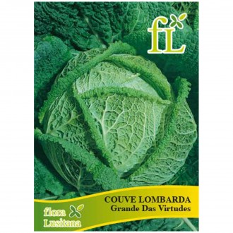Couve Lomb Ardo Grande Das Virtudes 10 G FLORA LUS