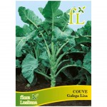 Couve Galega Lisa 10 G FLORA LUSITANA Couve Galega Lisa 10 G FLORA LUSITANA