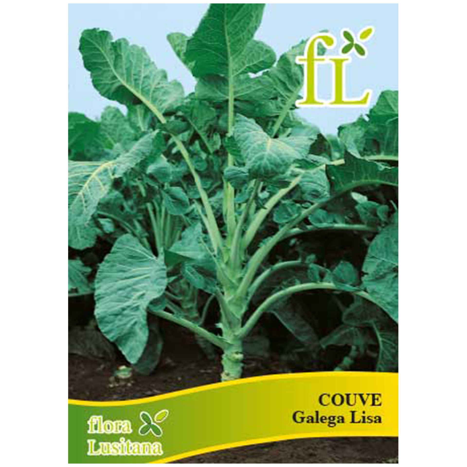 Couve Galega Lisa 10 G FLORA LUSITANA
