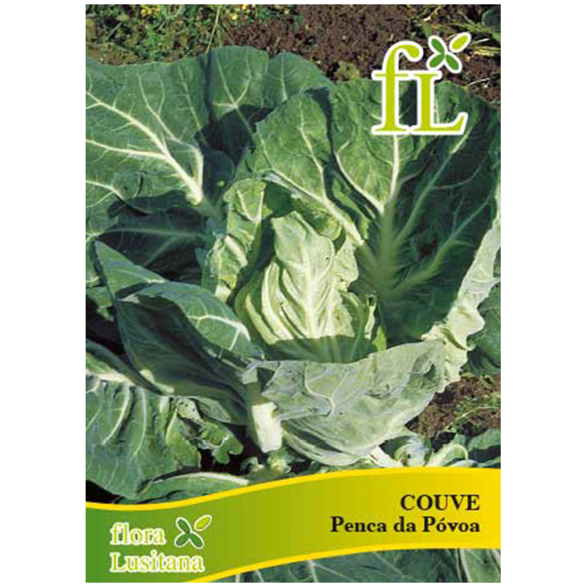 Couve Penca Da Póvoa 10 G FLORA LUSITANA