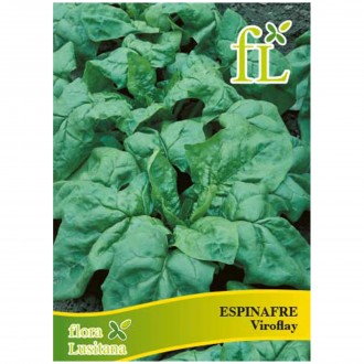Espinafre Viroflay 10 G FLORA LUSITANA
