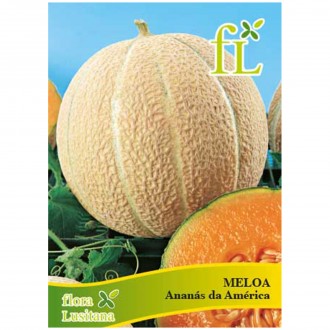 Meloa Anans Amrica 10 G FLORA LUSITANA
