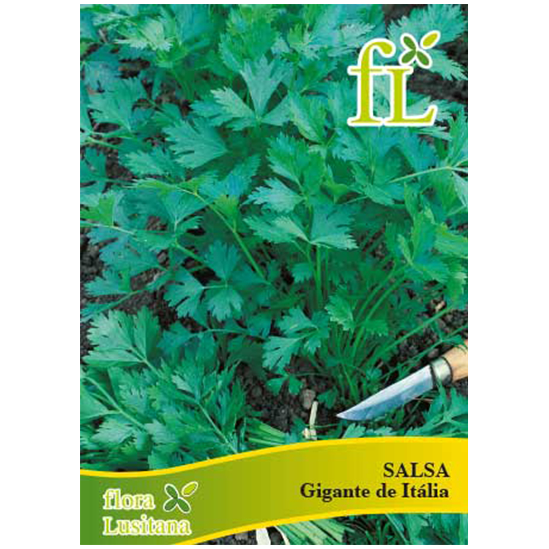 Salsa Gigante de Itália 10 G FLORA LUSITANA