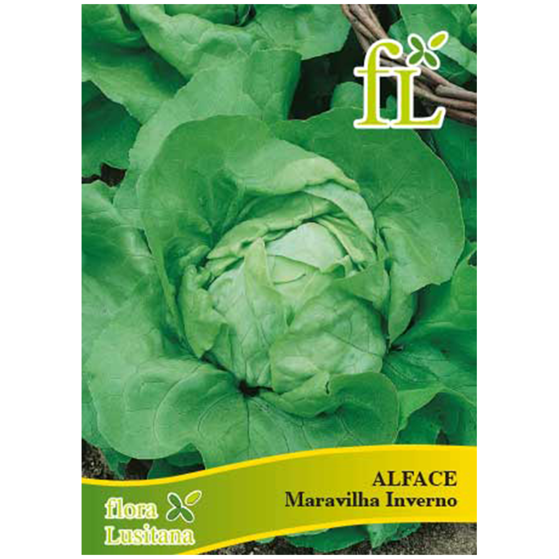 Alface Maravilha Inverno 10 G FLORA LUSITANA