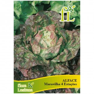 Alface Maravilha 4Estaes 10 G FLORA LUSITANA