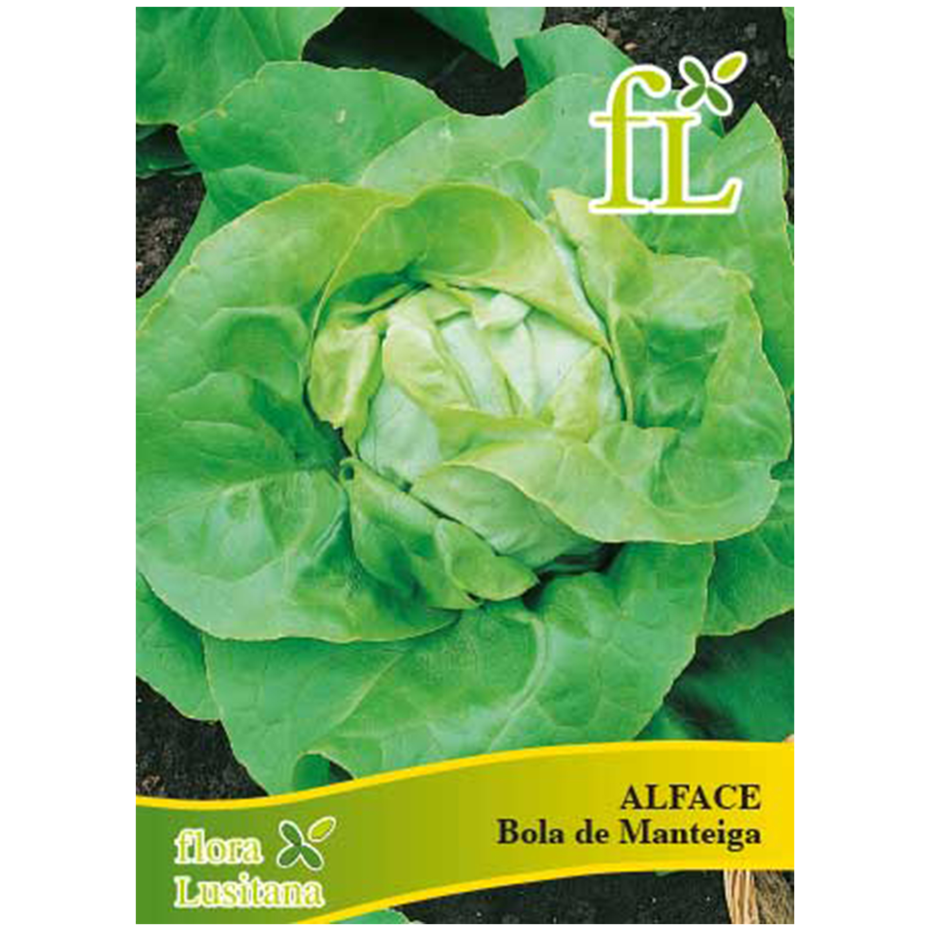 Alface Bola de Manteiga 10 G FLORA LUSITANA