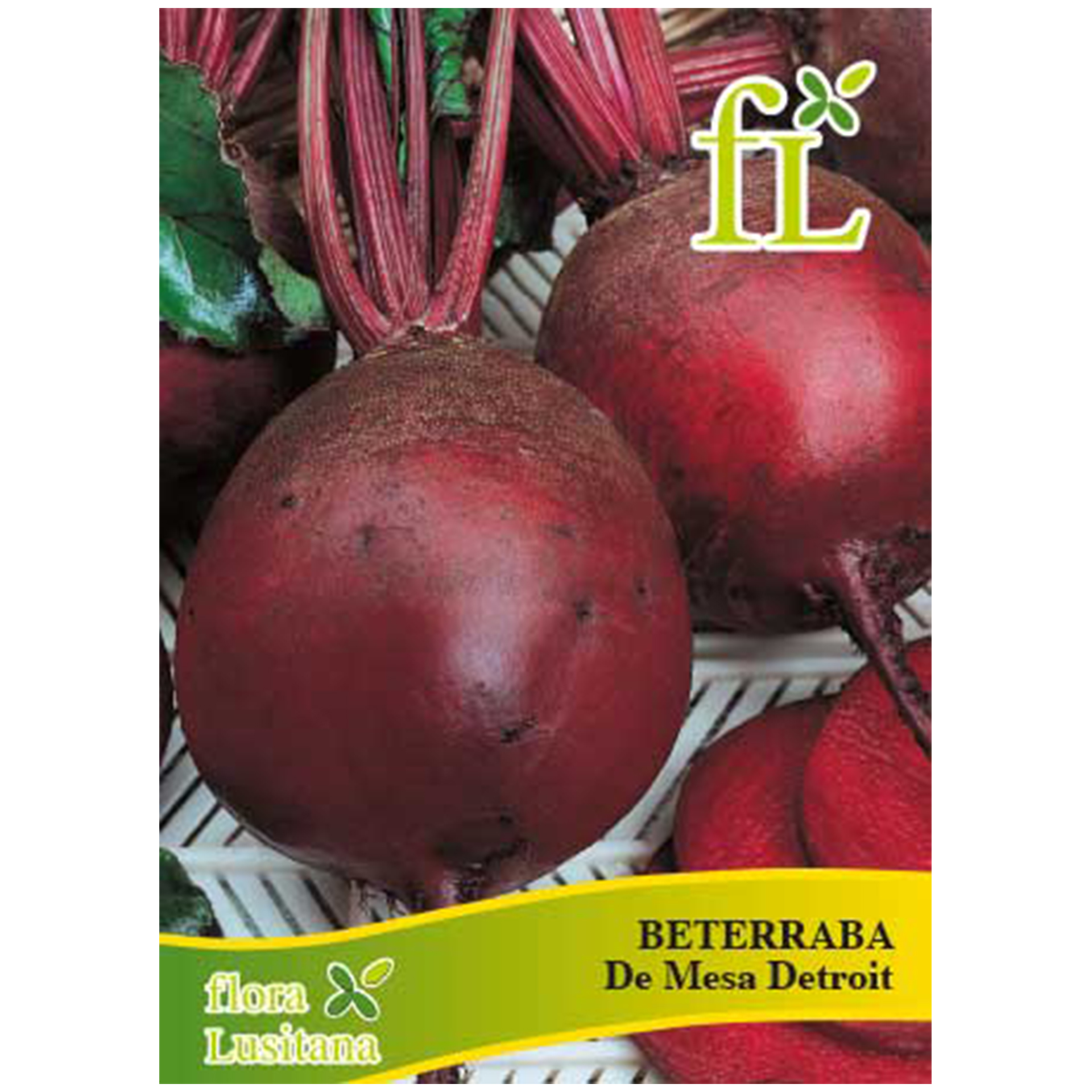 Beterraba Mesa de Detroit 10 G FLORA LUSITANA