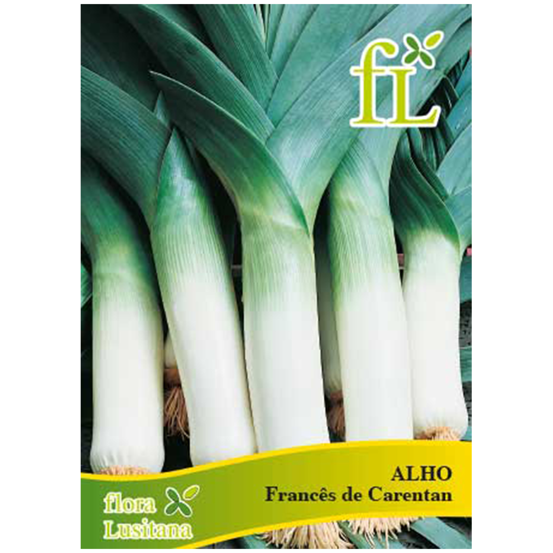Alho Francês Carentan 5 G FLORA LUSITANA