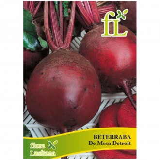 Beterraba Mesa de Detroit 10 G FLORA LUSITANA