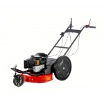 Corta Prados B&S 163 CC DORI Corta Prados B&S 163 CC DORI