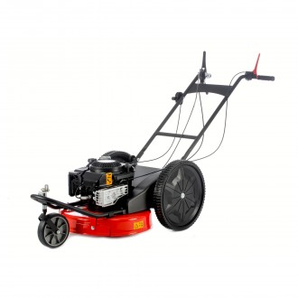 Corta Prados B&S 163 CC DORI