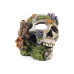 Decorao Skull 195X160X140Mm