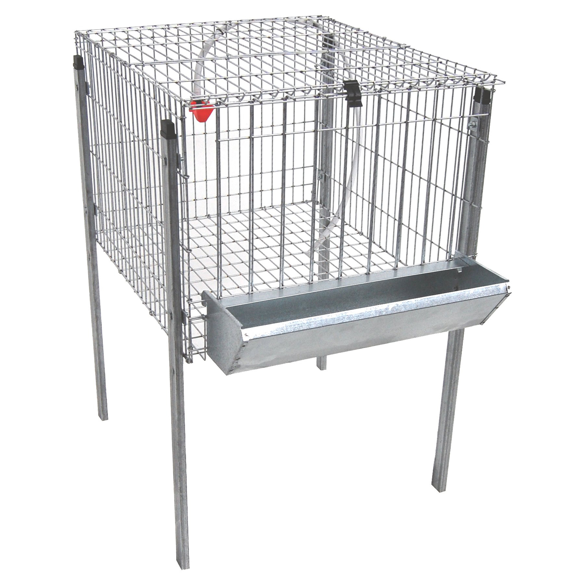 Jaula para Frangos 1 Divisória GOMEZ Y CRESPO