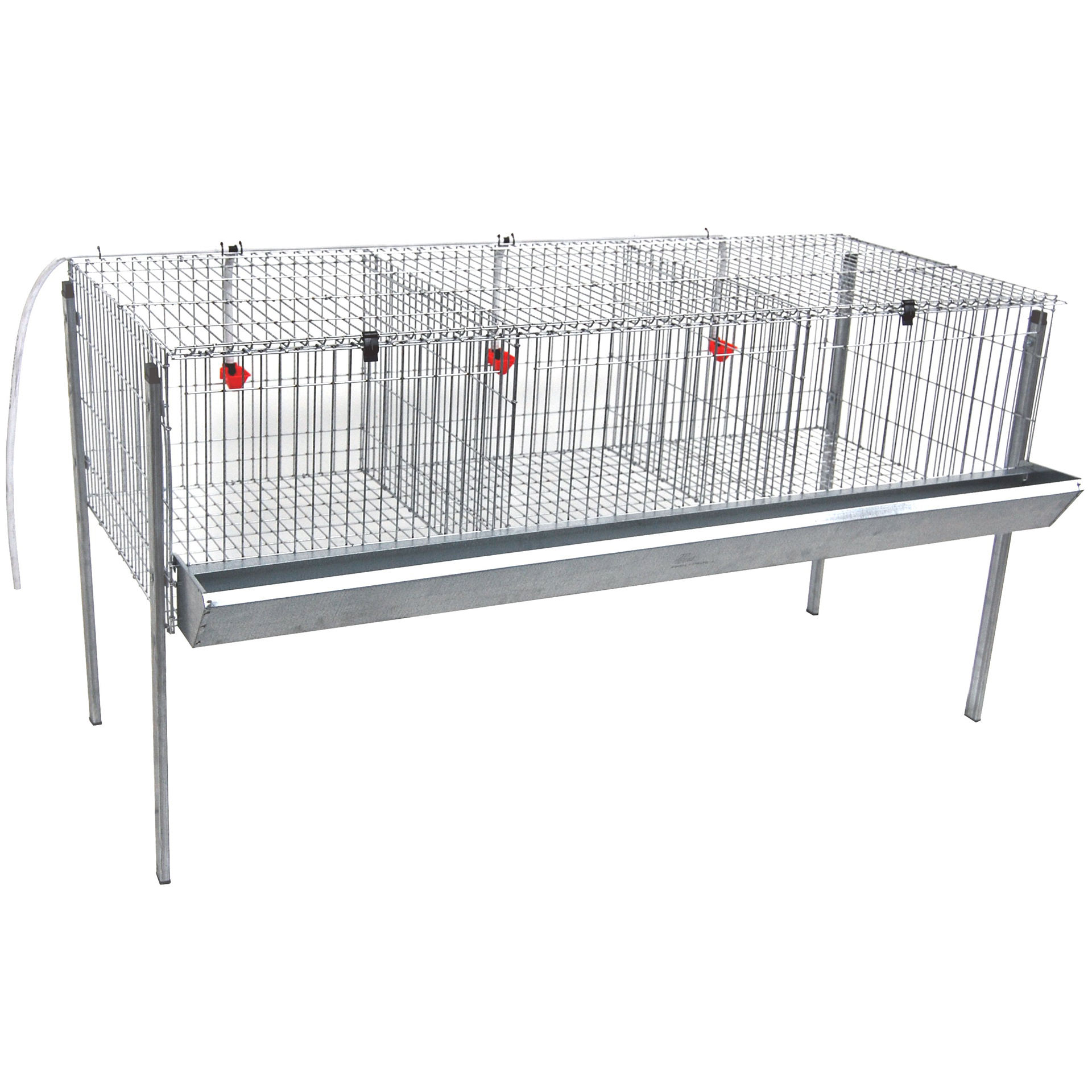 Jaula para Frangos 3 Divisórias GOMEZ Y CRESPO