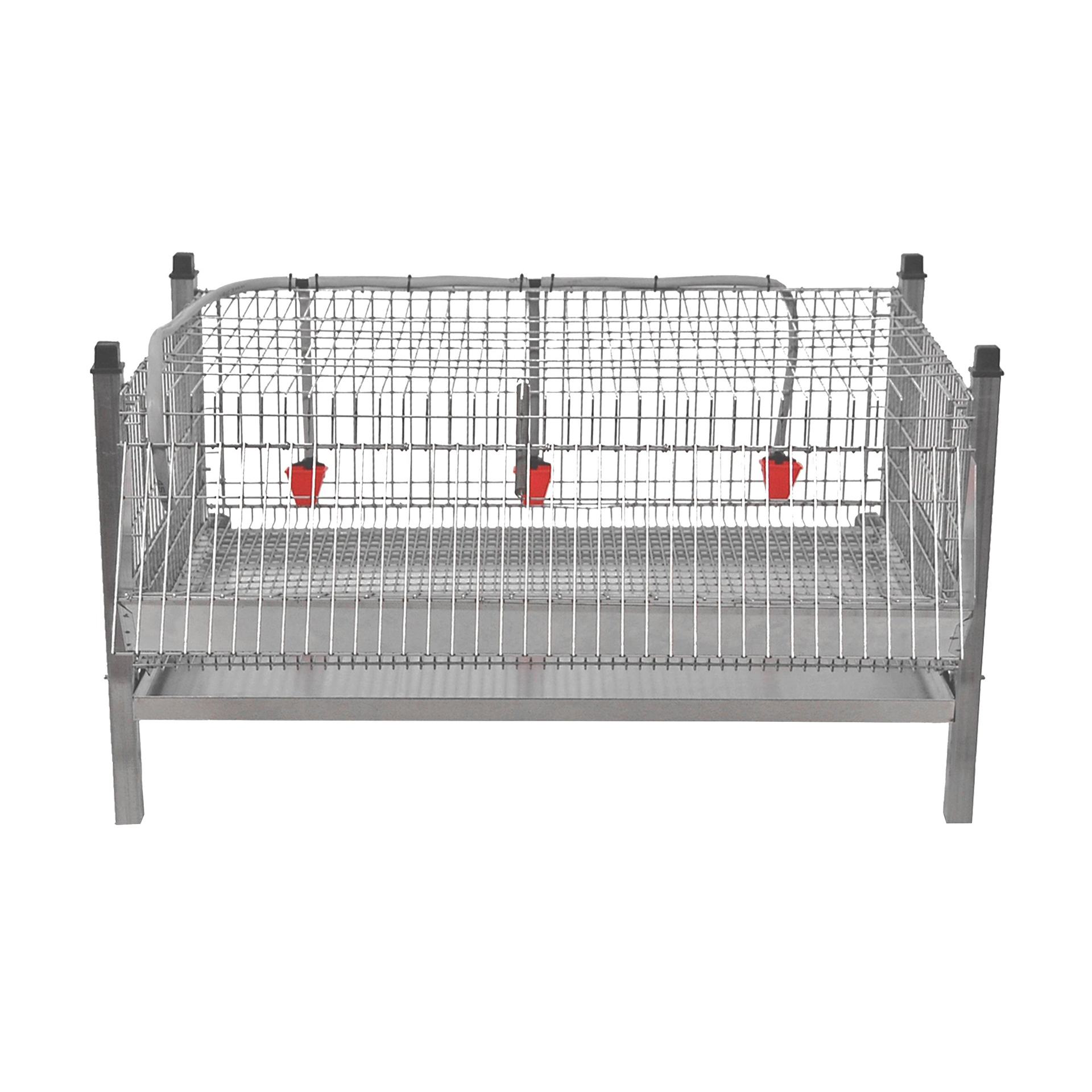 JAULA P/PINTOS GOMEZ Y CRESPO