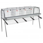 Jaula para 12 Galinhas com 4 Divisrias GOMEZ Y CR